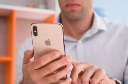 Apple India returns to the hig