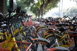 The Tragedy of the Commons and the Doomsday of Bike Sharing